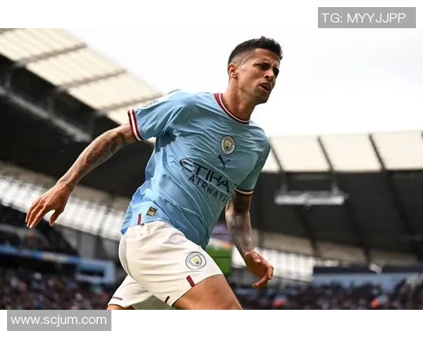 坎塞洛在足球场上的精彩表现与未来发展潜力分析